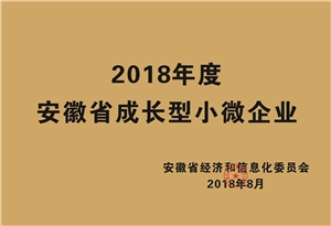 2018年度安徽省成長型小微企業(yè)